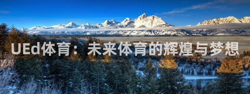 UEd体育：未来体育的辉煌与梦想