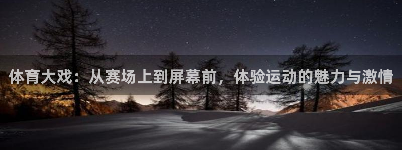 体育大戏：从赛场上到屏幕前，体验运动的魅力与激情
