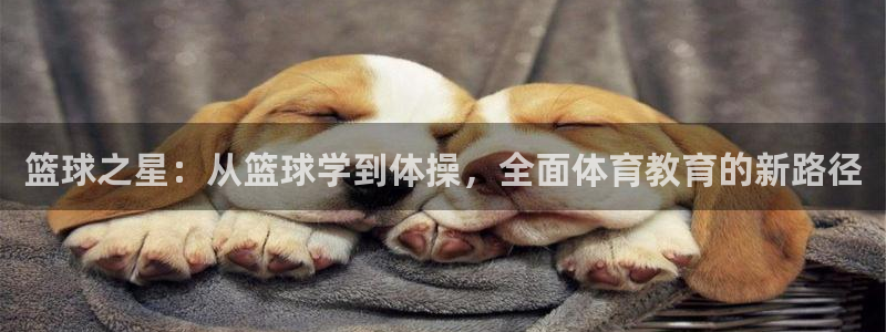篮球之星：从篮球学到体操，全面体育教育的新路径